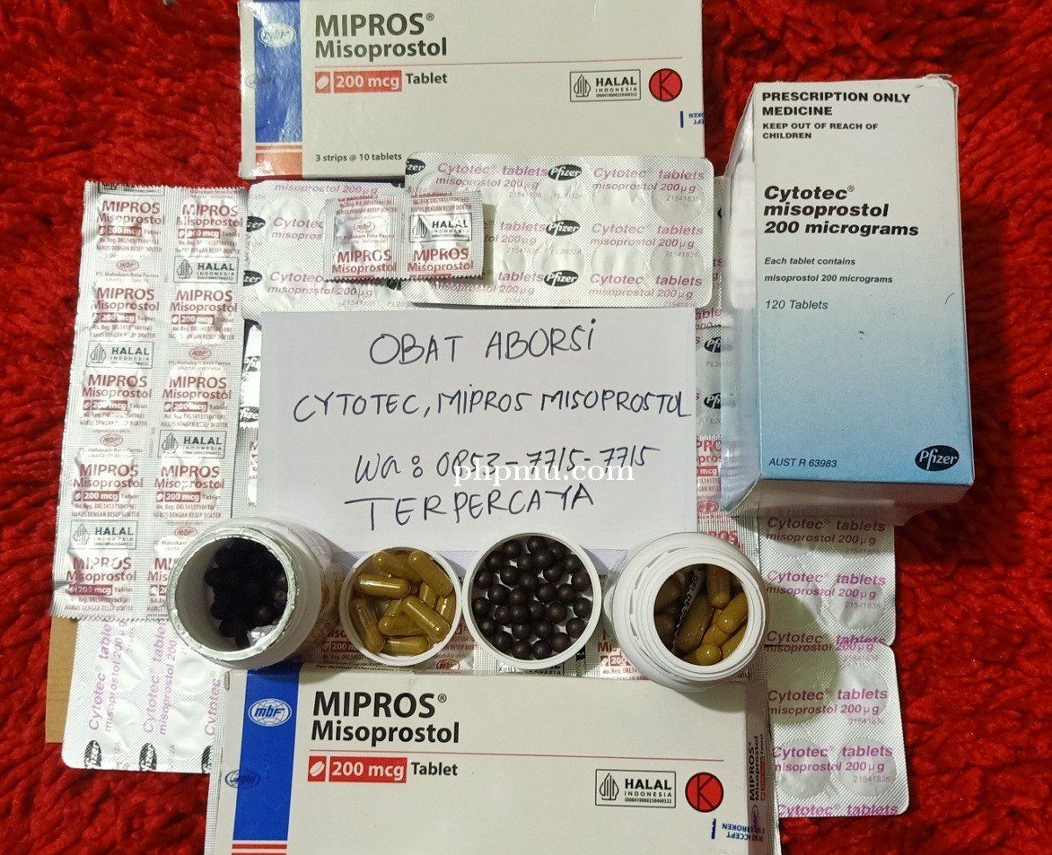 Jual Obat Aborsi Jambi Wa 0822-3751-8300 Obat Penggugur Kandungan Tuntas Di Jambi 