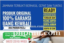 Obat Aborsi ( Cod ) Kapuas 0822-2310-9953 Tempat Jual Obat Penggugur Kandungan Di Kapuas