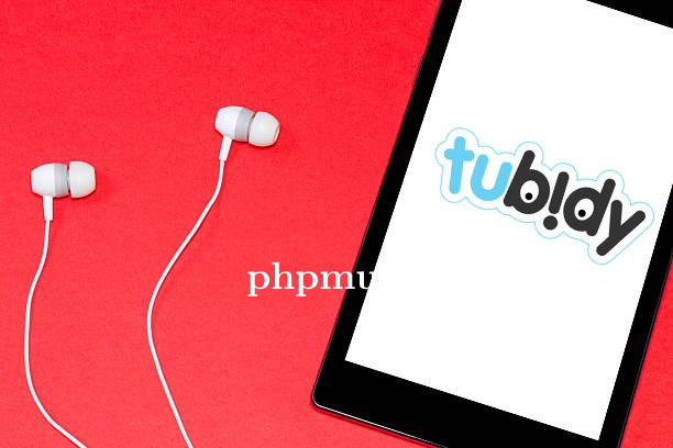 Tips Memilih Musik Digital Favorit Melalui Platform Tubidy Secara Mudah